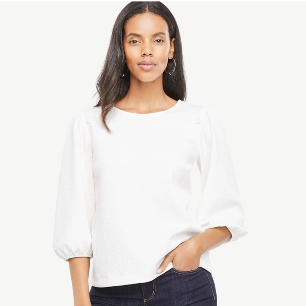 Ann Taylor Puff Sleeve Knit Top Size Large